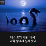 [카드뉴스] 네스 호의 괴물 네시 실체 벗나