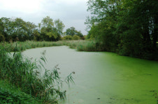 낙동강 녹조제어 통합플랫폼 개발한다