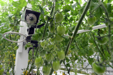 본격 스마트팜 시대 도래... 민간 1호 농장 개장