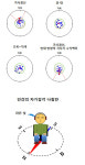 사람도 자기감각 존재...눈으로 자북 방향 찾아