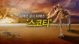 [모션그래픽]티렉스 중의 티렉스 스코티