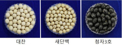 농진청-건국대, 국산콩으로 맛·기능 좋은 전두유 제조 기술 개발