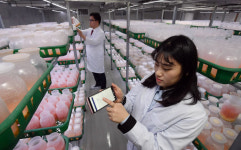지하주차장에 농장이, IoT·ICT기반 스마트시티팜 개원