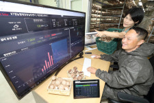 태양광 발전으로 키운 표고버섯···영농태양광 사업 떴다