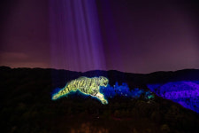 [르포] 한여름밤 수놓은 ICT....대명 비발디파크 실감형 테마파크를 가다