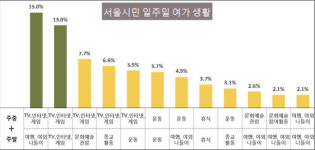 서울시민 절반 주중 여가 때 TV, 인터넷, 게임