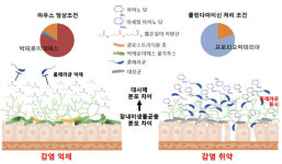 콜레라균 억제 미생물, 생 쥐 장속서 찾았다