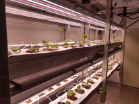 솔트웨어, 농업에 ICT 결합한 스마트팜 사업 중동시장에서 꽃피운다