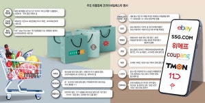 [이슈분석]e커머스 11월 쇼핑대전...역대급 물량전 펼친다
