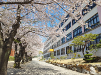 [취업걱정없는 명품학교]<257>해운대관광고등학교