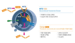프로셀테라퓨틱스, 세포 내 전송 기술로 혁신치료제 패러다임 바꾼다