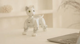 [테크트렌드]상상 속 미래 가정용 로봇이 온다