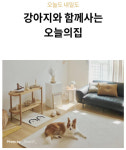 오늘의집 올인원 라이프스타일 플랫폼 도약…“인테리어·펫·캠핑 등 확대”