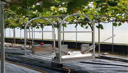 구미강소특구 첫 연구소기업 버던트와 아이팜, 스마트팜 강소기업 예약