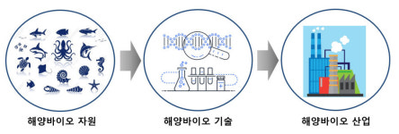 [ET단상]경북 해양바이오 산업의 가능성