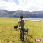 [마이펫페어] 버치코리아, 버치펫푸드 소개