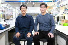 최용찬 DGIST 박사, 납 없는 친환경 태양광 소재 조성 기술 개발