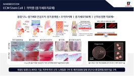 [KIST, 바이오소재 혁신이끈다]KIST가 지원한 코아스템·나노바이오시스템, 국민 건강 확보 일조한다