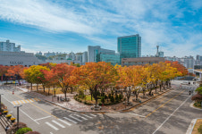 숭실대, 2022 정시모집…1239명 선발