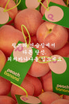 연습장에서도 예쁘게... 골프연습장 전용 골프웨어 등장