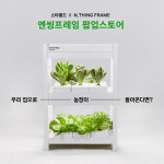 엔씽, 실내용 식물재배기 엔씽프레임 스타필드 하남에 오픈