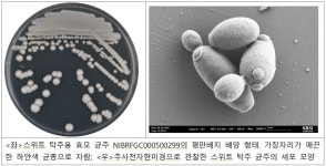지리산 산수유서 분리한 효모로 전통주 만든다…수입산 대체