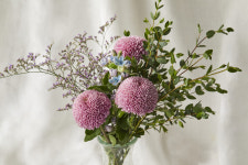 온라인 최초 꽃 새벽배송 마켓컬리, 화훼농가 새 판로 개척