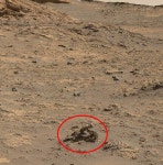이상하게 생겼네...NASA 로버가 화성에서 포착한 광물 꽃