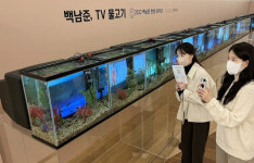 갤러리아백화점, 백남준 TV 물고기 전시