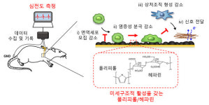 의료용 전자기기 체내 염증 반응 완화 실마리...고성능 생체전극 개발
