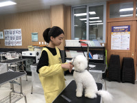[취업 걱정없는 명품학교]〈339〉한국펫고등학교