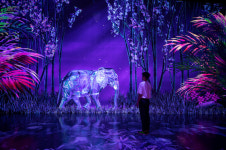 디스트릭트, 첫 해외 아르떼뮤지엄 홍콩 오픈