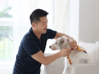 [마이펫페어] 보듬컴퍼니, 보듬의 인기 제품 및 신제품 전시한다