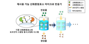 GIST, 설탕으로 값비싼 약물 전환 고부가가치 친환경 촉매 개발