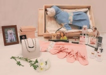 보람상조, 스카이펫 출시