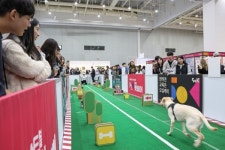 2024년에 만나는 가장 첫번째 펫페어, 마이펫페어 2024 일산 Part 1, 오는 1월 12일 킨텍스서 개최