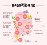 티몬, 4월까지 설렘가득 봄꽃축제 여행 특별전 개최