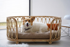 [마이펫페어] 프리미엄 펫퍼니쳐 브랜드 메종수피아, 마이펫페어 일산 참가