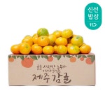 [11번가 테마쇼핑] 천고마비의 계절 가을 제철 식재료 한 데 모은 신선밥상