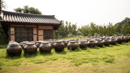 [청년 마을로 프로젝트 참여기업] 햇콩마루 브랜드로 전통 발효 장류 생산 장흥식품