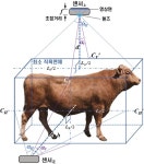 [AI TECH+ 2024] 티인사이트랩, 3D 체중 측정·거래연계 AI솔루션 소개