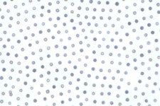 에이치엔에스하이텍 “ACF 사업 호조, 내년 매출 1000억 넘긴다”