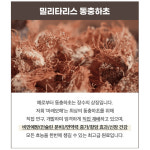 [마이펫페어] 주식회사 씨지앤, 마래모해 펫푸드 소개