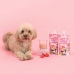 [마이펫페어] 슈퍼포우, 바나나와 딸기를 담은 펫밀크 소개