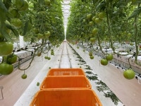 “고흥 스마트팜 혁신밸리 청년창업 교육 신청하세요”…전남도, 내달 29일까지 모집