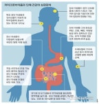AI 장내지도 전쟁…K바이오, 마이크로바이옴 플랫폼 각축전