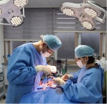 광주광역시 우치동물원, 호남권 거점동물원으로 지정