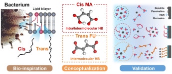 수계배터리 기능성 전해질 첨가제 개발…6000시간 장수명 달성
