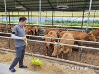 [르포] 이마트에서 만나는 국가대표 한우…경주 천년한우 비결은