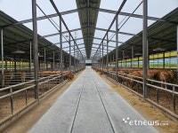 [르포] 이마트에서 만나는 국가대표 한우…경주 천년한우 비결은